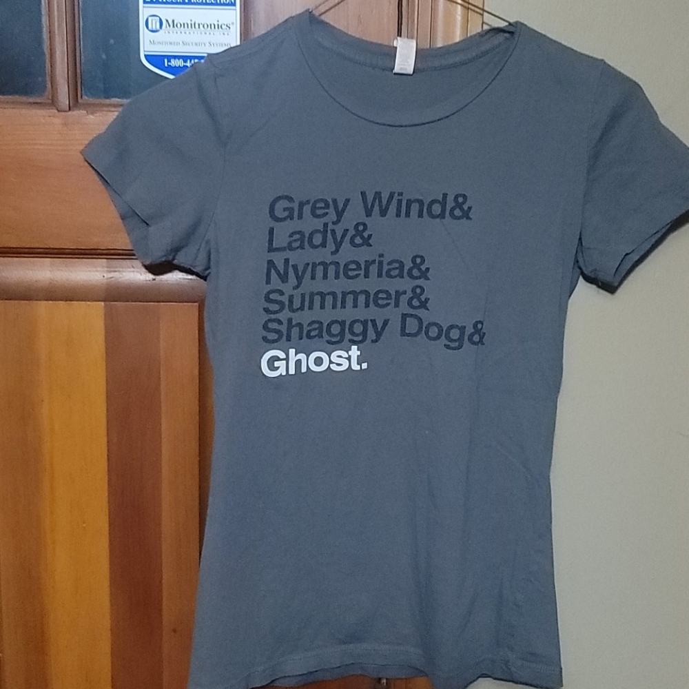Gray Tee-shirt